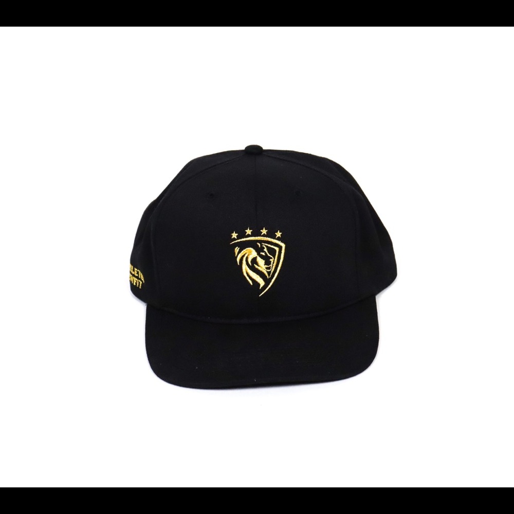 SnapBack hat
